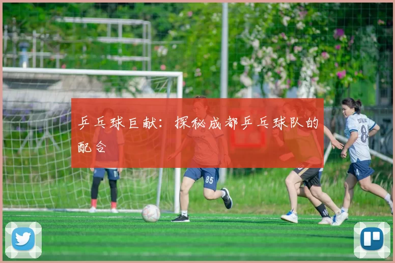 乒乓球巨献：探秘成都乒乓球队的配合