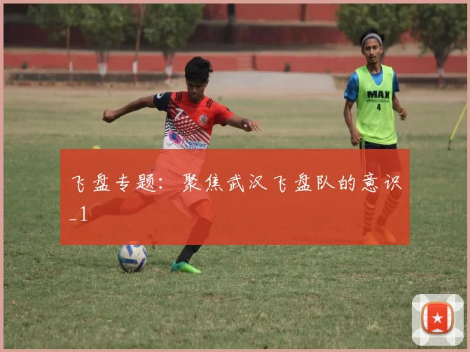 飞盘专题：聚焦武汉飞盘队的意识_1