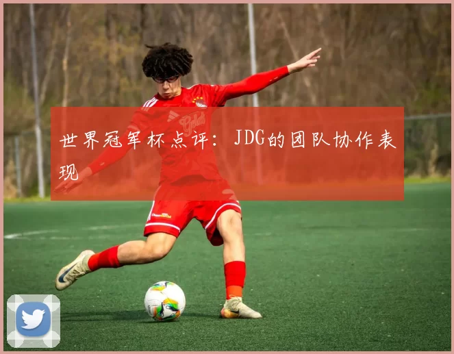 世界冠军杯点评：JDG的团队协作表现