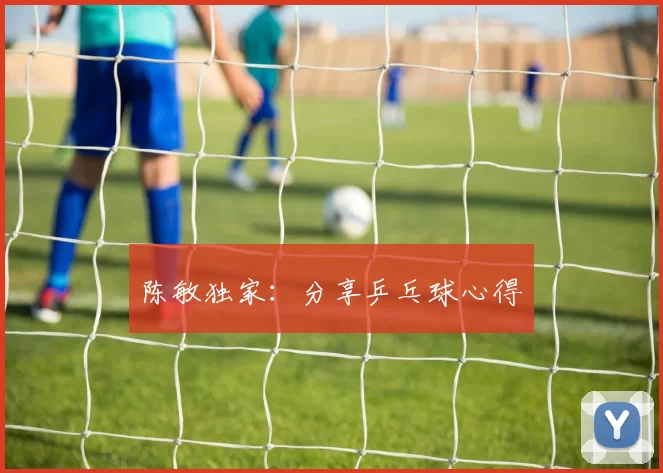 陈敏独家：分享乒乓球心得